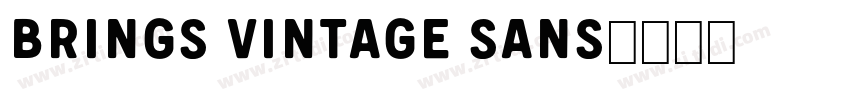 brings vintage sans字体转换